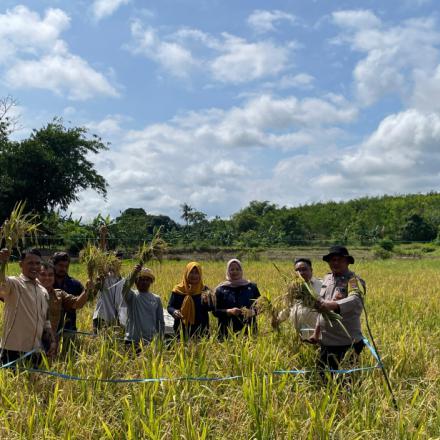 Rapat Temu Lapang Desa Simpang Tiga: Uji Coba Varietas Padi Cakrabuana Agritan Teknologi Modern